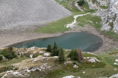 Sparrowhawk Tarn August 2020