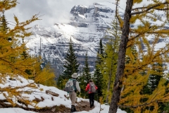 Returning from Eiffel Lake