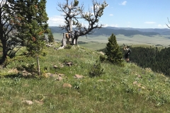 Whaleback Ridge Views9